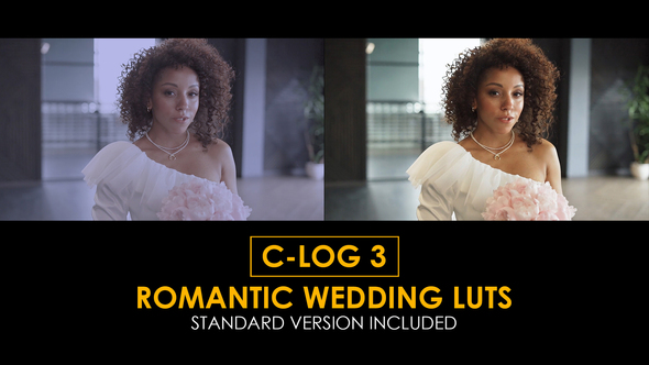 Photo of C-Log3 Romantic Wedding and Standard LUTs – Videohive 51223411