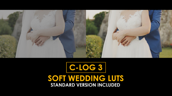 Photo of C-Log3 Soft Wedding and Standard Color LUTs – Videohive 51148004