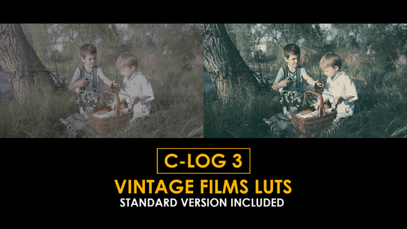 Photo of C-Log3 Vintage Film and Standard Color LUTs – Videohive 51169972