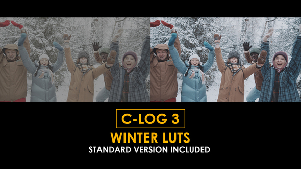 Photo of C-Log3 Winter and Standard LUTs – Videohive 51223152