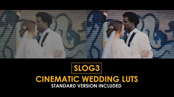 Photo of Slog3 Cinematic Wedding and Standard Color LUTs – Videohive 51047618