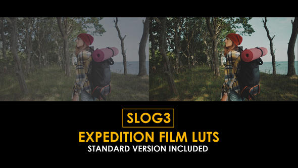 Photo of Slog3 Expedition FIlm and Standard LUTs – Videohive 51044821