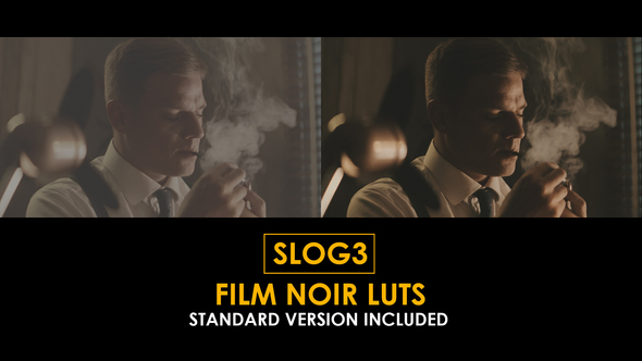 Photo of Slog3 FIlm Noir LUTs and Standard LUTs – Videohive 51044400
