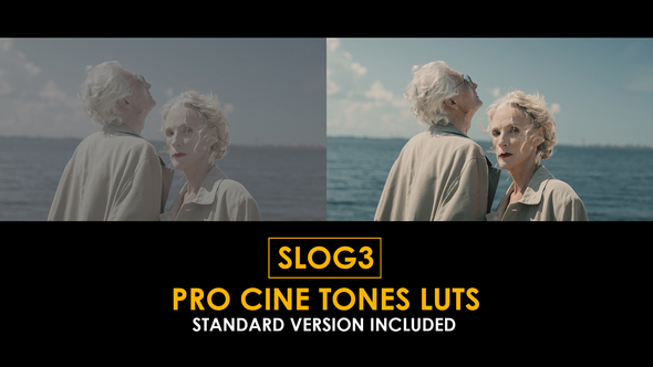 Photo of Slog3 Pro Cine Tones and Standard LUTs – Videohive 51040393