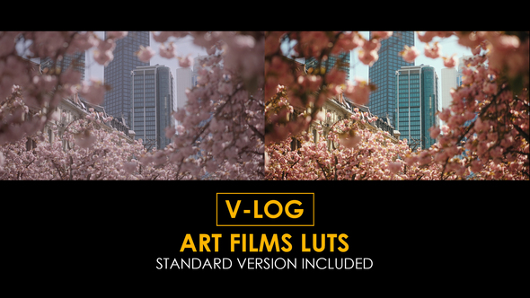 Photo of V-Log Art Film and Standard LUTs – Videohive 51434140