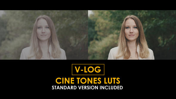 Photo of V-Log Cine Tones and Standard Color LUTs – Videohive 51303424