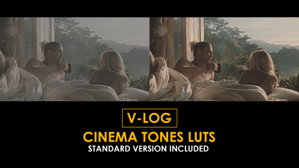 Photo of V-Log Cinema Tones and Standard LUTs – Videohive 51433913