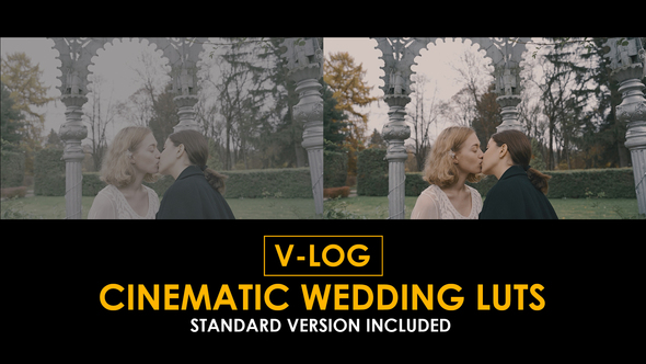 Photo of V-Log Cinema Wedding and Standard Color LUTs – Videohive 51443948