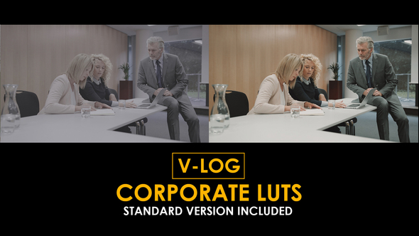 Photo of V-Log Corporate and Standard Color LUTs – Videohive 51303149