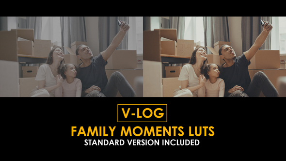 Photo of V-Log Family Moments and Standard Color LUTs – Videohive 51303166