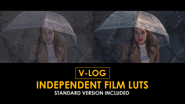 Photo of V-Log Independent Film and Standard LUTs – Videohive 51362978