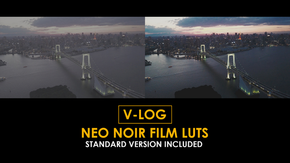 Photo of V-Log Neo Noir Film and Standard LUTs – Videohive 51362447