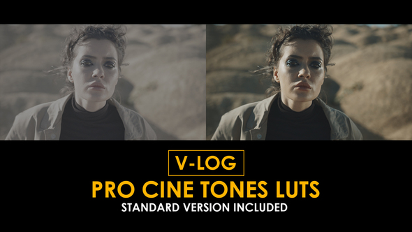Photo of V-Log Pro Cine Tones and Standard LUTs – Videohive 51363042