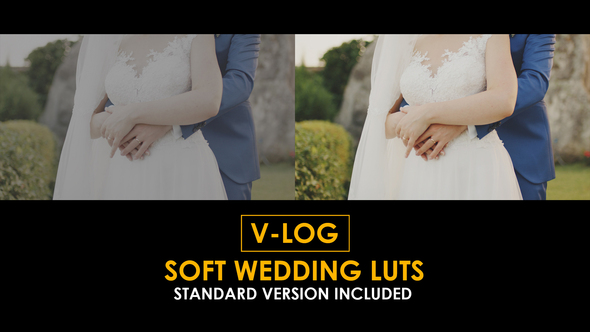 Photo of V-Log Soft Wedding and Standard Color LUTs – Videohive 51303476