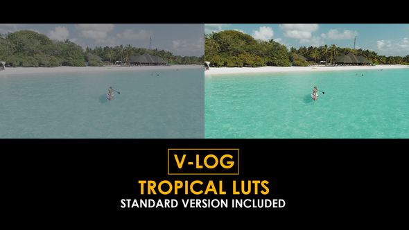 Photo of V-Log Tropical and Standard Color LUTs – Videohive 51303308