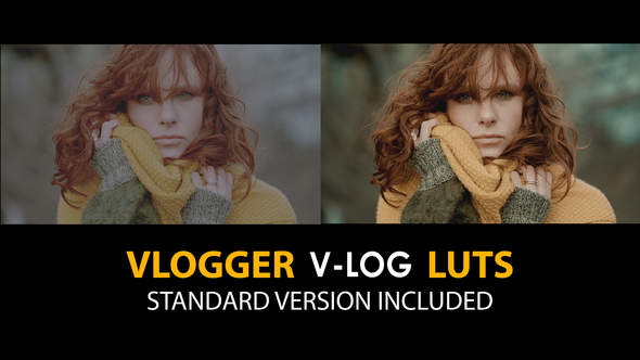 Photo of V-Log Vlogger and Standard Color LUTs – Videohive 51443778