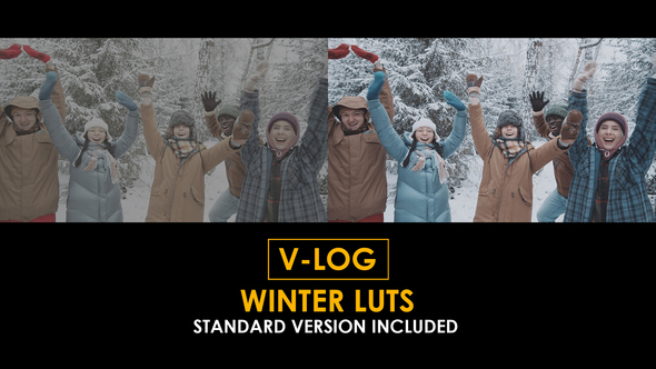 Photo of V-Log Winter and Standard Color LUTs – Videohive 51379335