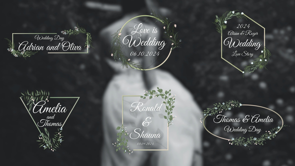 Photo of Elegant Wedding Titles – Videohive 51755485
