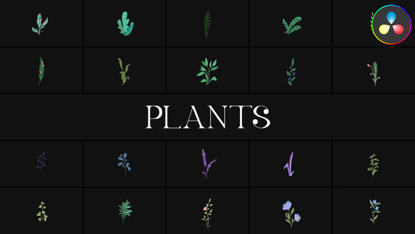 Photo of Plants for DaVinci Resolve – Videohive 51636461