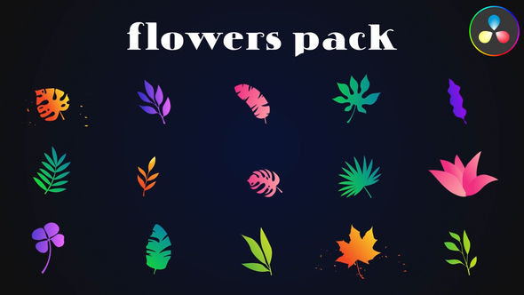 Photo of Colorful Flowers Pack for DaVinci Resolve – Videohive 52077308