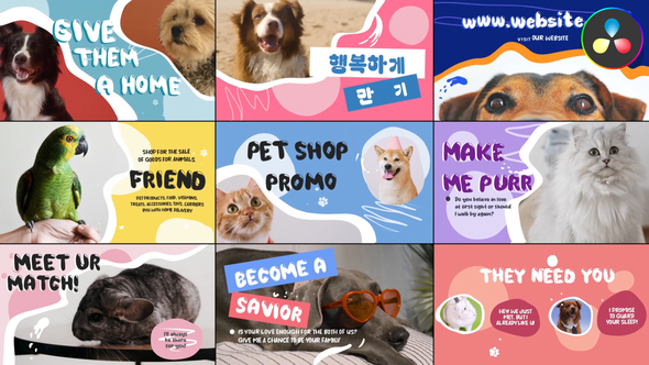 Photo of Pet Shop Promo for DaVinci Resolve – Videohive 52787385