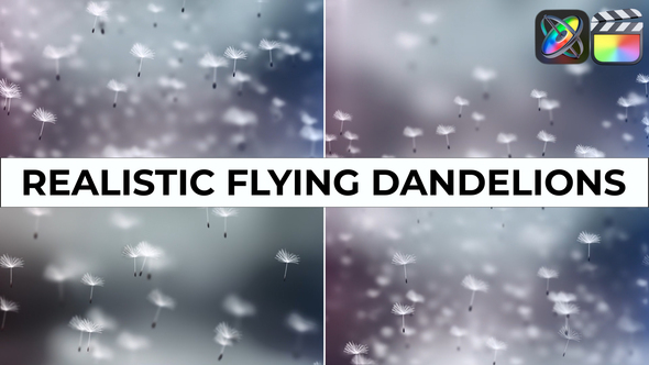 Photo of Realistic Flying Dandelions for FCPX – Videohive 52818135