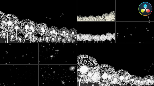 Photo of Dandelion Breeze | DaVinci Resolve – Videohive 53020424