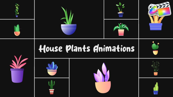 Photo of House Plants Animations for FCPX – Videohive 54525108