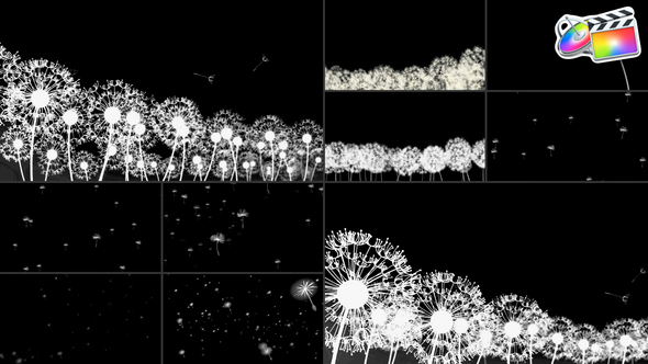 Photo of Dandelion Breeze | FCPX – Videohive 53020278