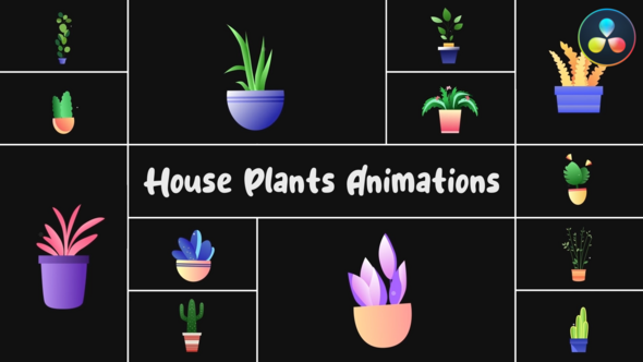 Photo of House Plants Animations for DaVinci Resolve – Videohive 54570743