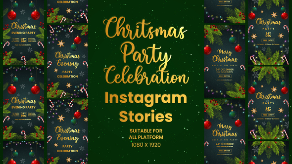 Photo of Christmas Celebration Party Invitation Instagram Stories – Videohive 55348026