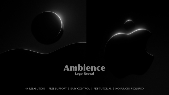 Photo of Ambience Logo Reveal – Videohive 56437663