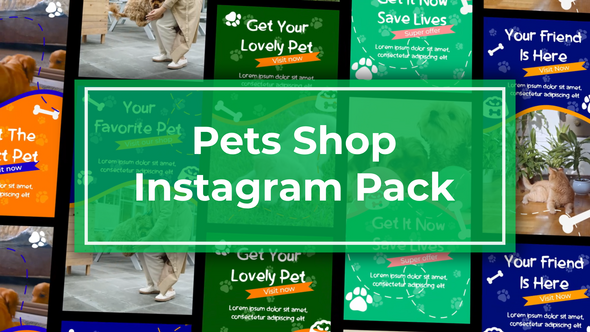 Photo of Pets Vertical Instagram Template – Videohive 56316914