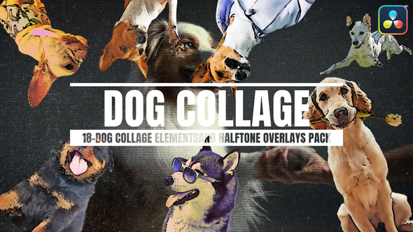 Photo of 18-dog Collage Elements And Halftone Overlays For DaVinci Resolve – Videohive 56640856