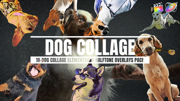 Photo of 18-dog Collage Elements And Halftone Overlays For Final Cut X and Apple Motion – Videohive 56676540