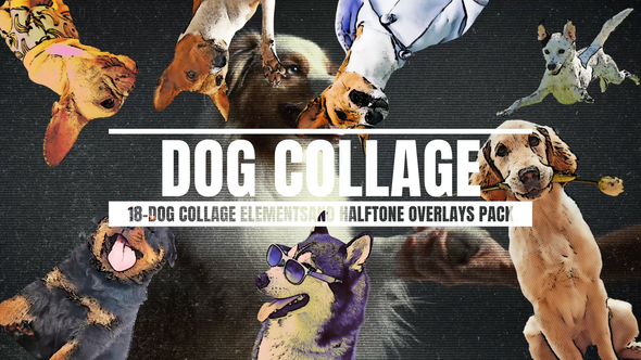 Photo of 18-dog Collage Elements And Halftone Overlays – Videohive 56550773