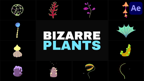 Photo of Bizarre Plants | After Effects – Videohive 56554784