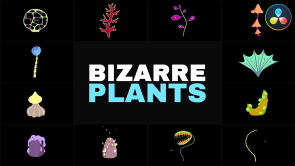 Photo of Bizarre Plants | DaVinci Resolve – Videohive 56747723