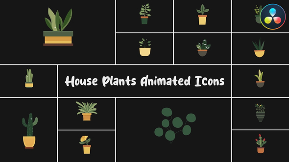 Photo of House Plants Animated Icons for DaVinci Resolve – Videohive 56673286