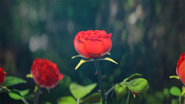 Photo of Red Rose Logo Reveal – Videohive 56667143