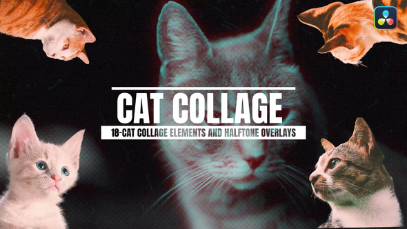 Photo of 18-Cat Collage Elements And Halftone Overlays For DaVinci Resolve – Videohive 57715454