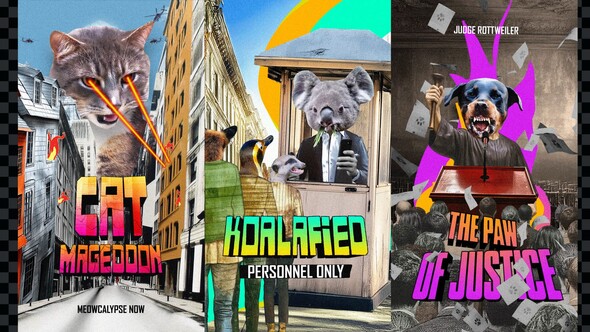 Photo of Collage Zoo Toolkit – Videohive 58164165