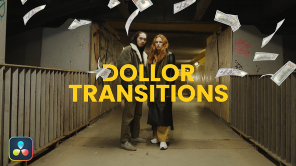 Photo of Dollar Money Transition DR – Videohive 58031999