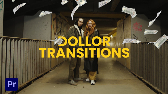 Photo of Dollar Money Transition – Videohive 58020988