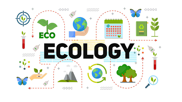 Photo of Ecology and Energy Typography Scenes – Videohive 57995833