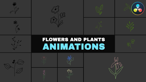 Photo of Flowers and Plants Animations | DaVinci Resolve – Videohive 57892984