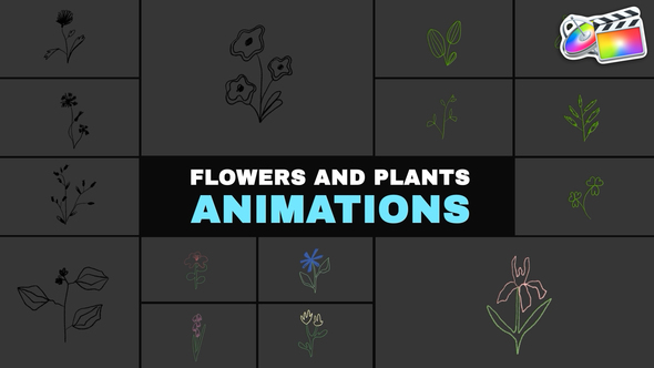 Photo of Flowers and Plants Animations | FCPX – Videohive 57859886