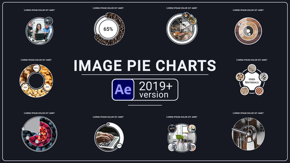 Photo of Image Pie Charts – Videohive 58008014