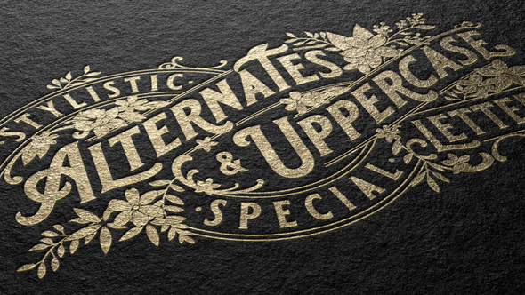Photo of LOGO MOCKUP – Videohive 53419232
