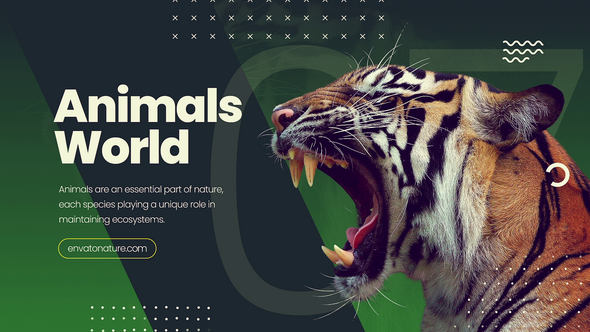 Photo of Nature Promo Slideshow – Videohive 57951705